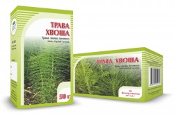 Хвоща полевого трава ф/пак. 1.5 г 20 шт.